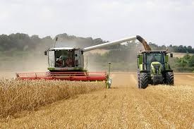 Pros and Cons of Arable farming