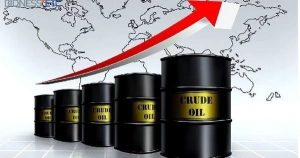 What are the importance of crude oil in Nigeria