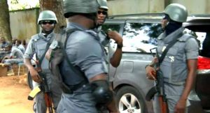 Customs intercepts N3.1 billion worth of pangolin scales and elephant tusks in Lagos 4 Customs intercepts N3.1 billion worth of pangolin scales and elephant tusks in Lagos