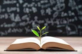 Nigerian education system