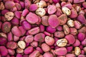 Wonderful kola: benefits, usage, side effects