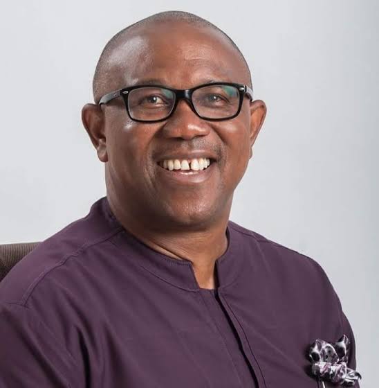 I'm not like Soludo; Peter Obi did well as Anambra governor – Dr Chris Ngige 
